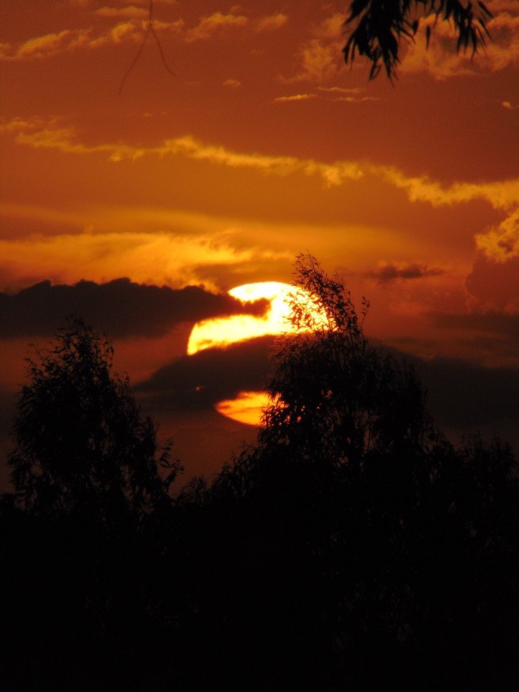 Фотография автора Stephen Muroki