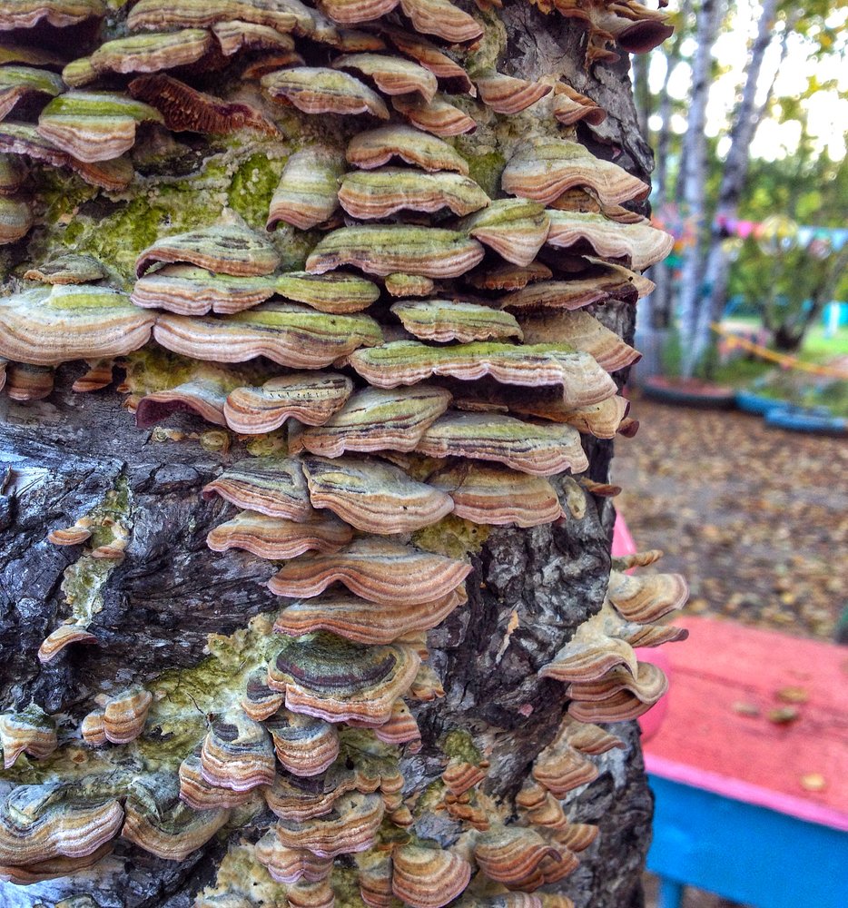 Photograph by Наталья Гордина