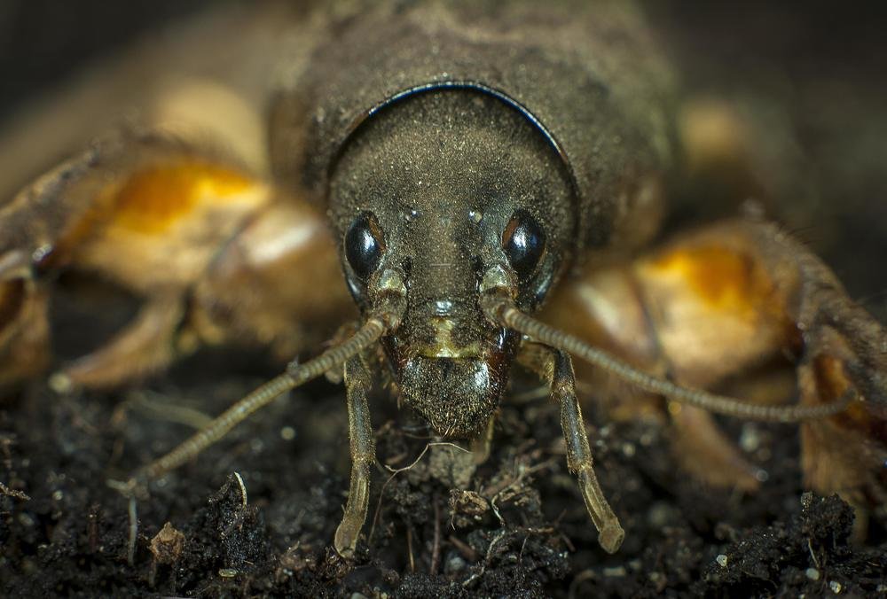 Photograph by Василий Либко