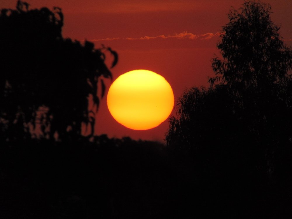 Фотография автора Stephen Muroki