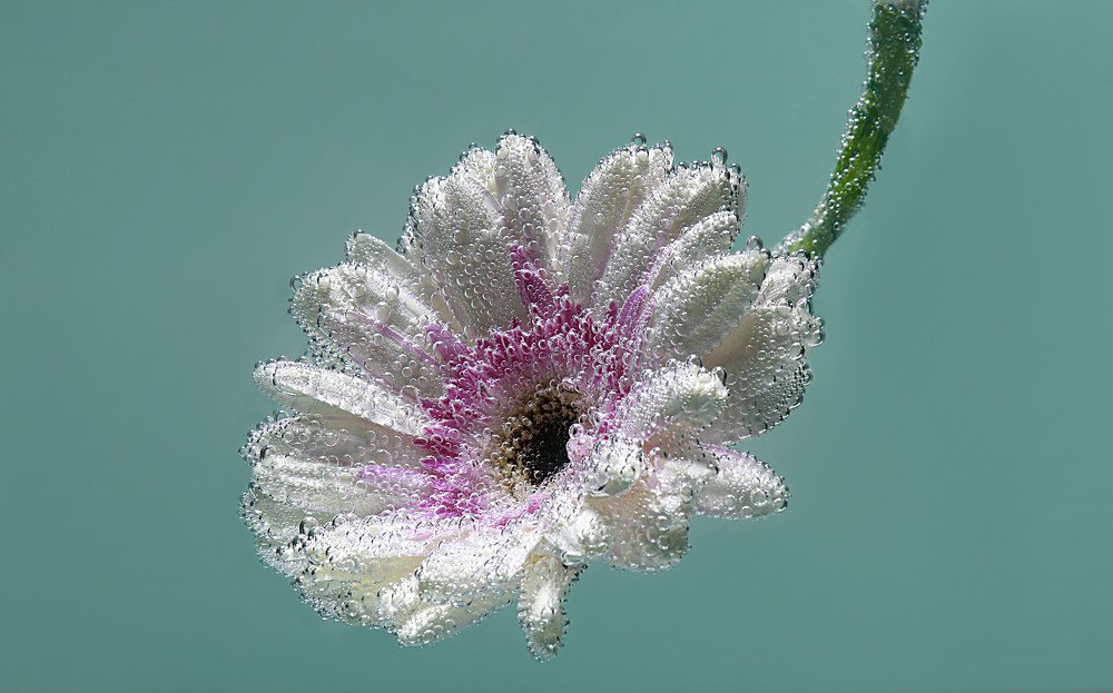 Photograph by Мария Давыдова