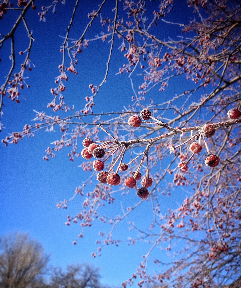 Photograph by Наталья Гордина