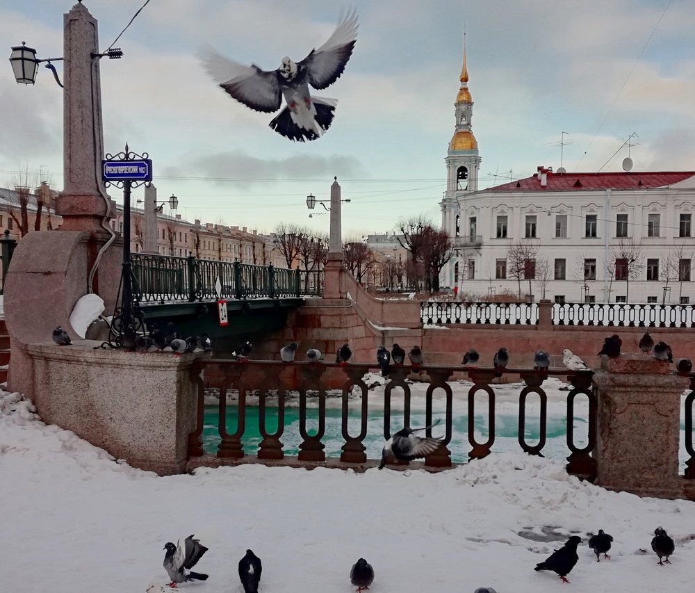 Photograph by Артём Паршиков