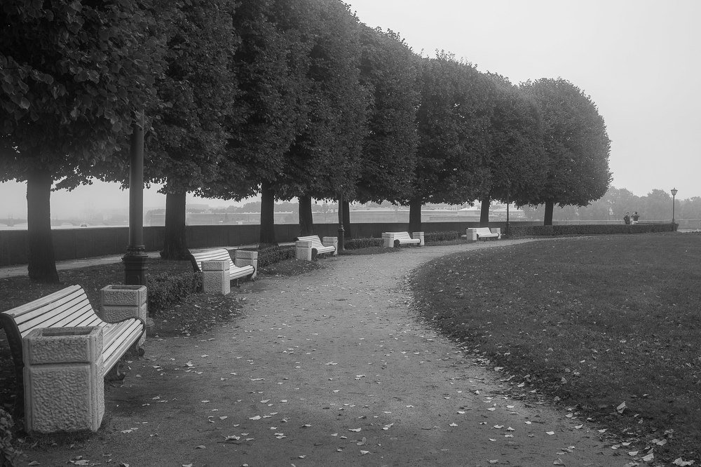 Photograph by ирина лебедева