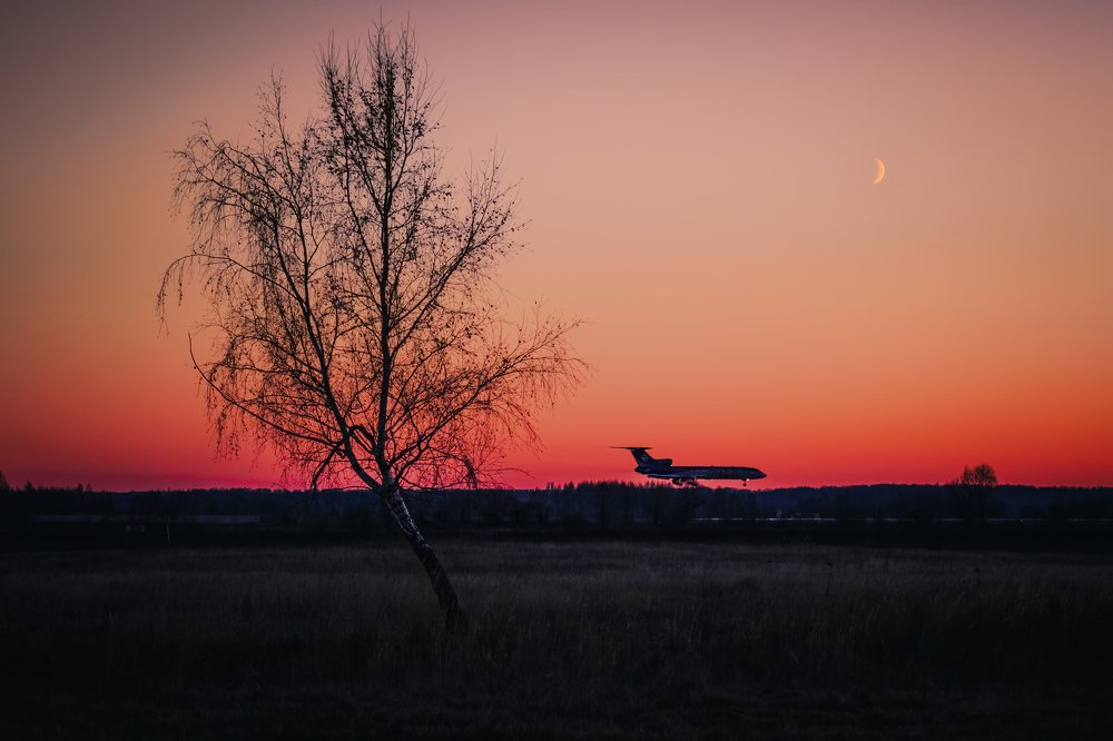 Photograph by Поляков Михаил