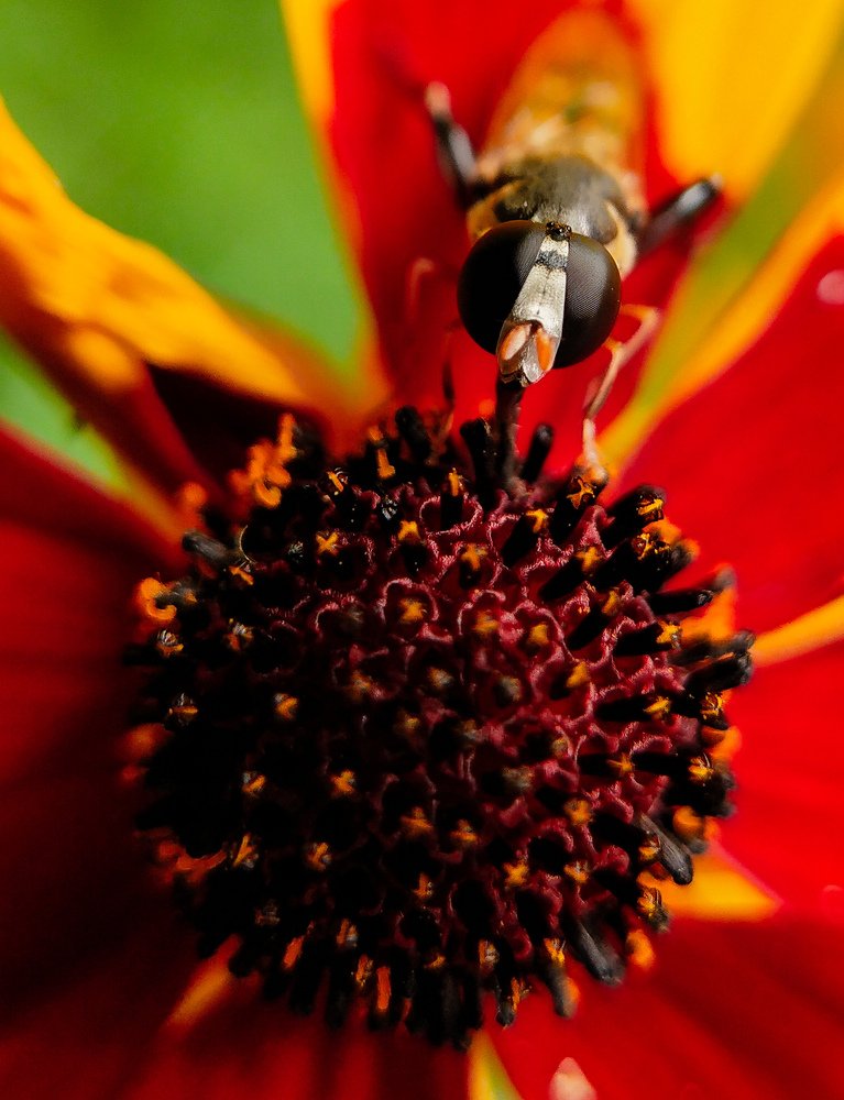 Photograph by Lakshya Sharma