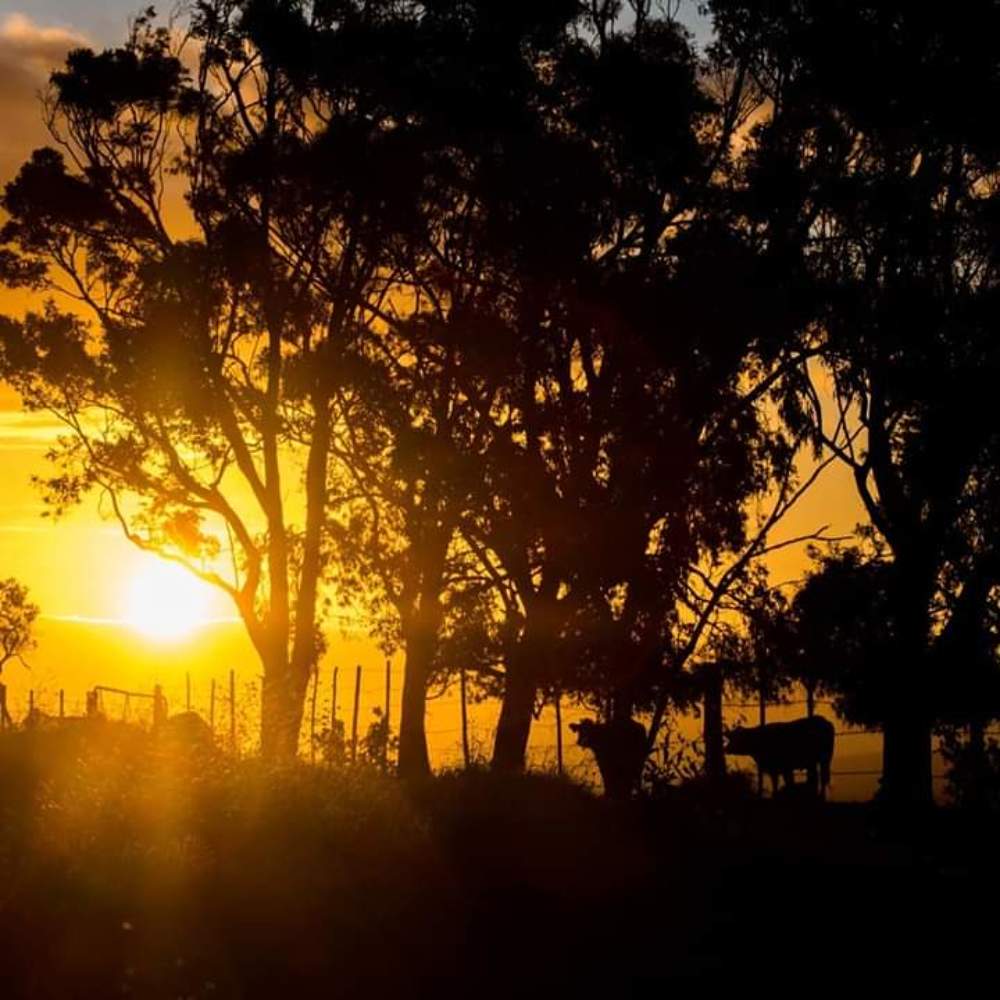 Photograph by Sanette Geldenhuys
