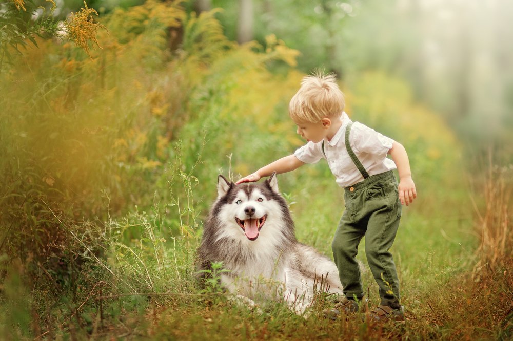 На лесной тропинке