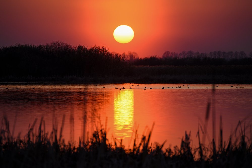 Photograph by Андрей Филатов