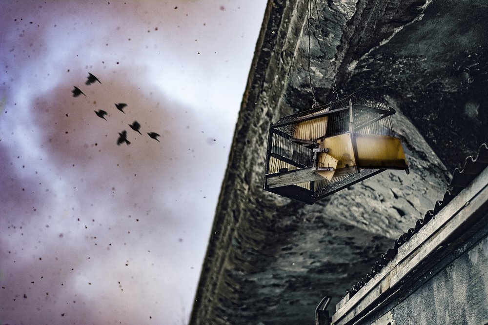 Photograph by Юрий Мымриков