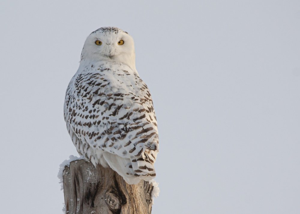 Photograph by Денис Жбир