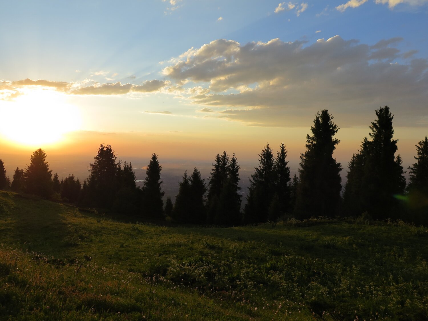 Photo #4358057