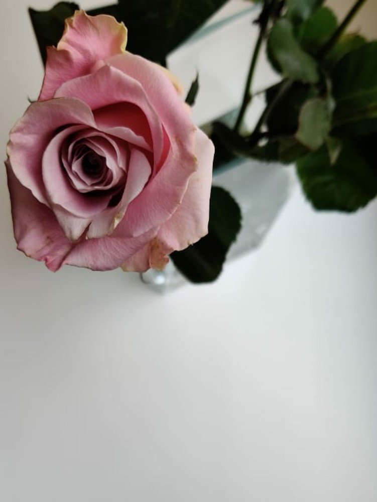 Photograph by Юлия Ревкова