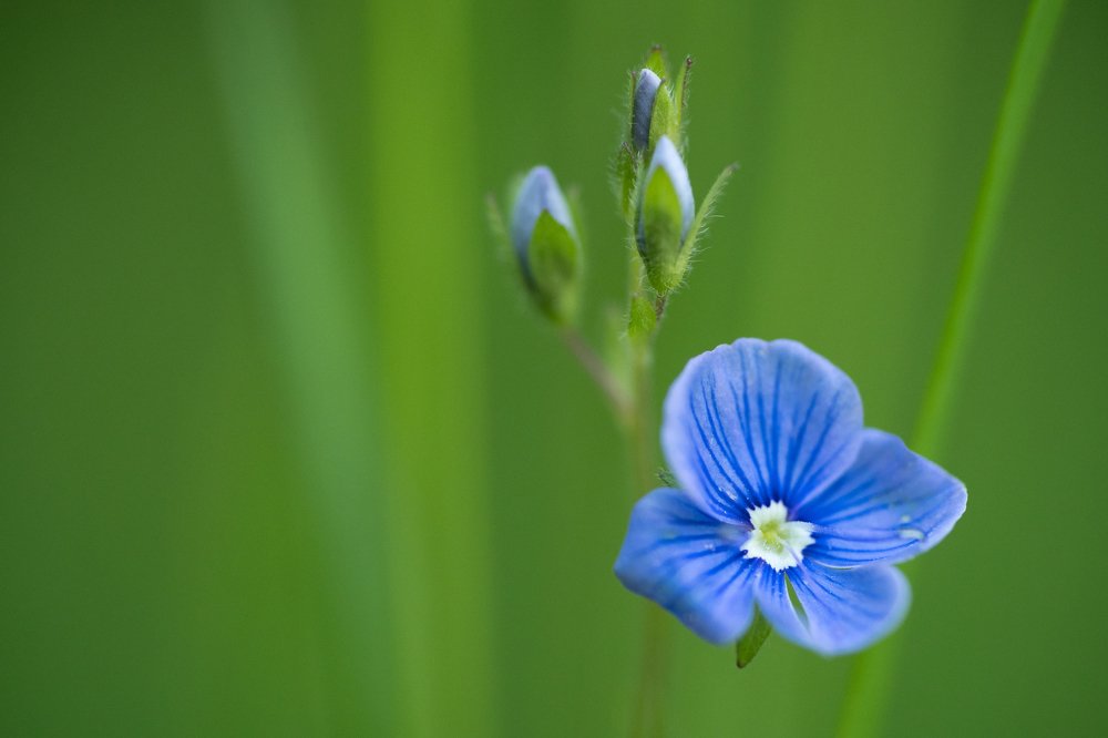 Photograph by Claudiu Tanase