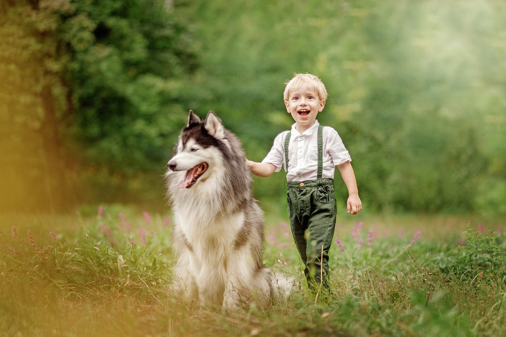 На лесной полянке