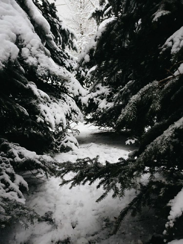 Photograph by Юлия Ревкова