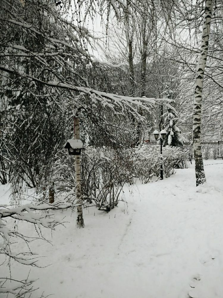 Photograph by Юлия Ревкова