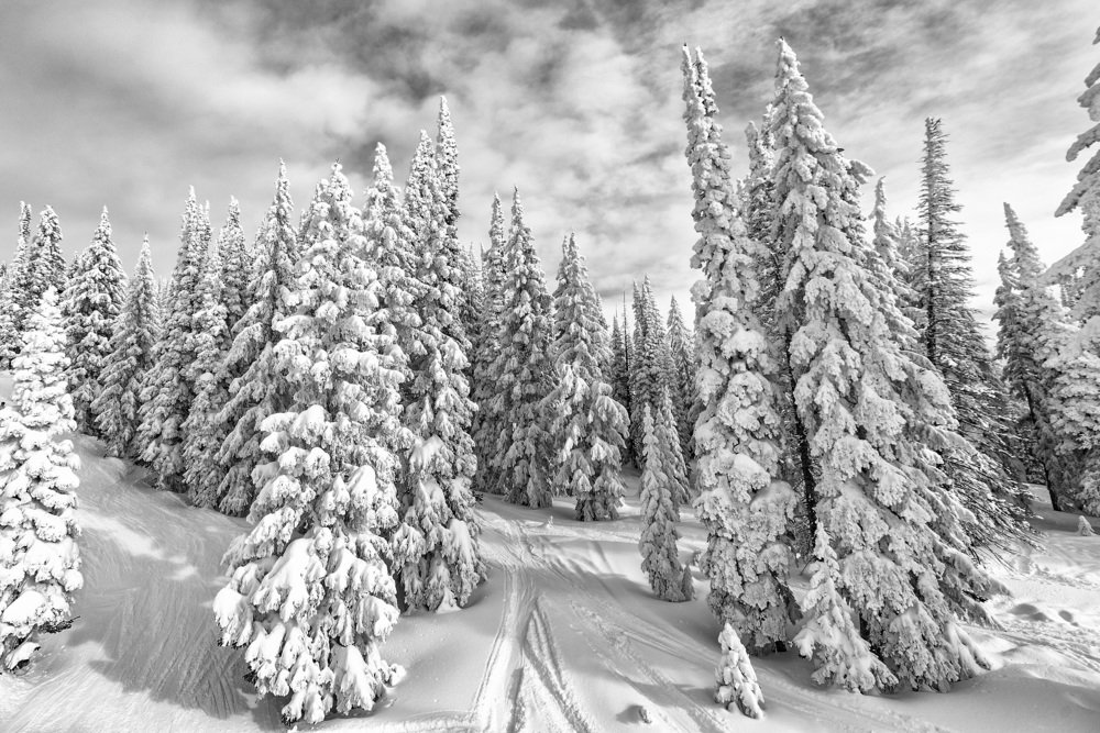 Photograph by Darius Peckus