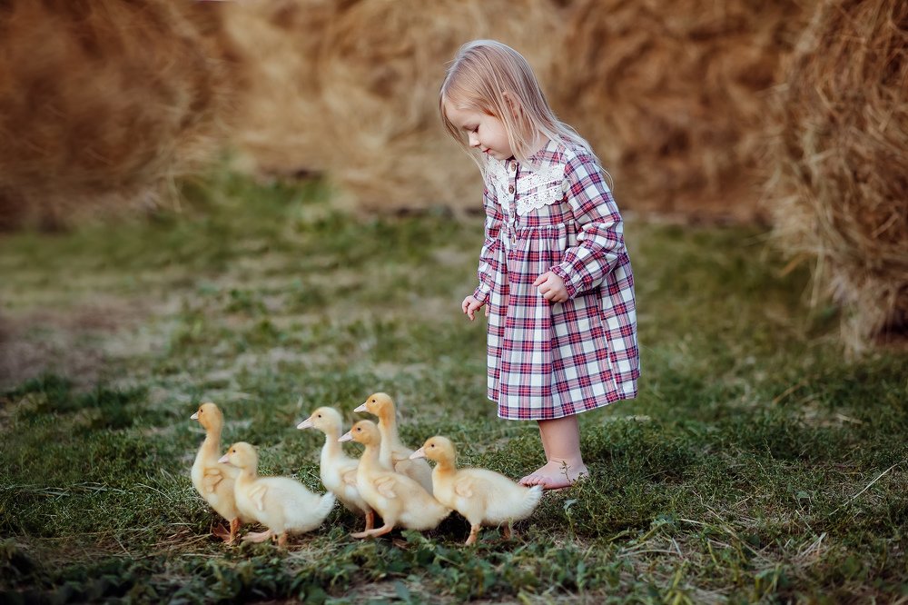 Photograph by анастасия плаксеева