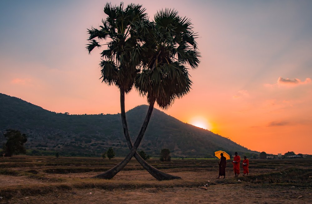 Photograph by Nguyễn Lâm