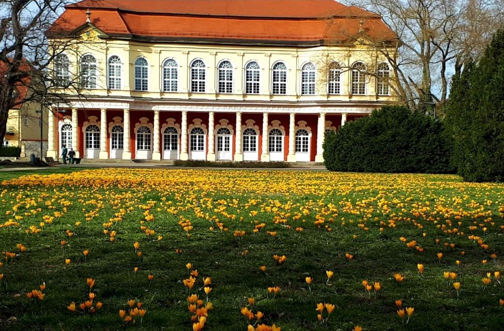 Сад замка Мерзебург.Германия