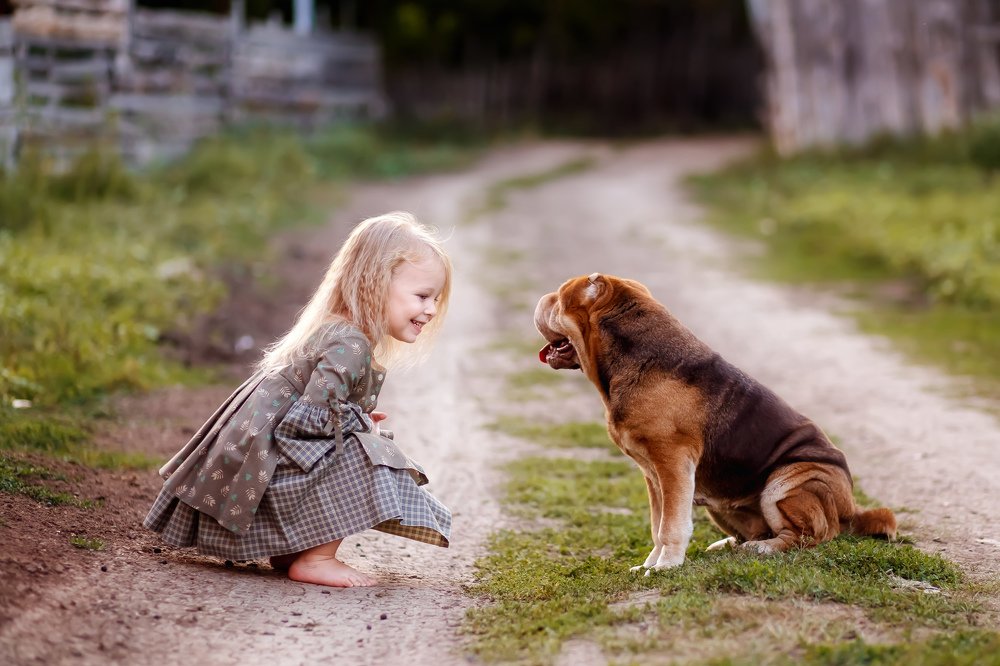 Photograph by анастасия плаксеева