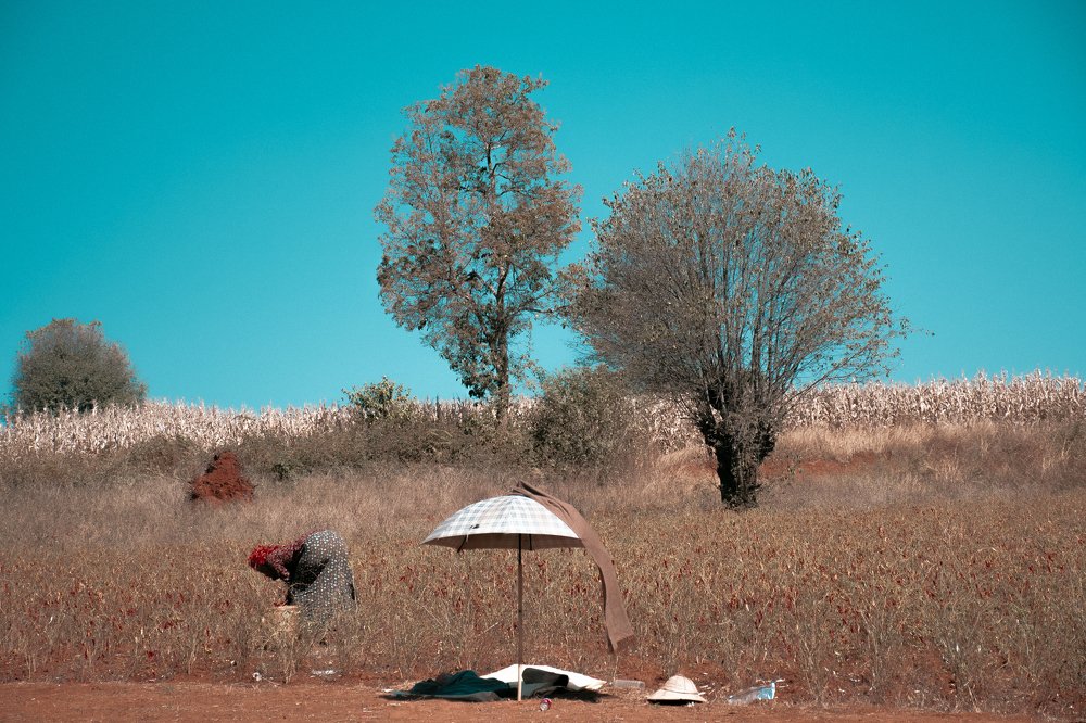 Photograph by Paing Xis