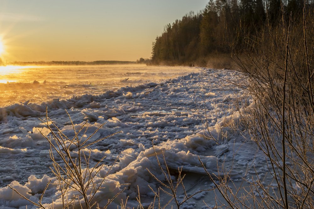 Фотография автора Галина Луценко