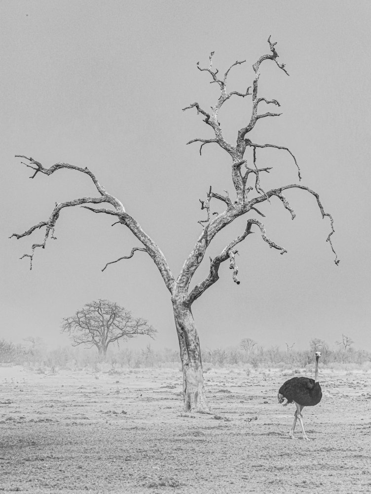 Photograph by THEODORE MATTAS