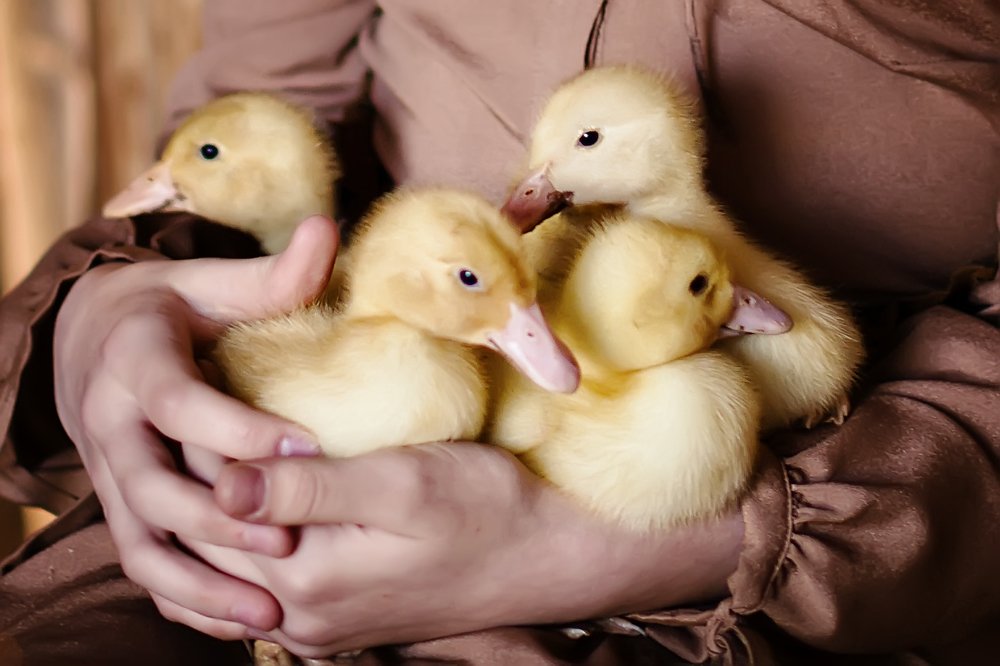 Желтые комочки