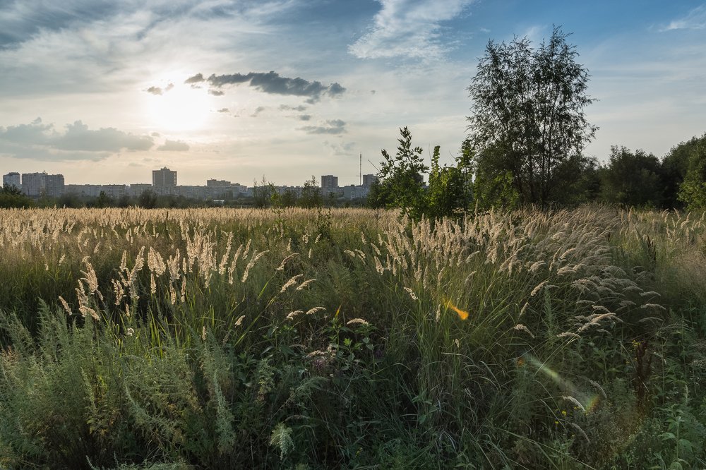 Photograph by Виктор Анциферов