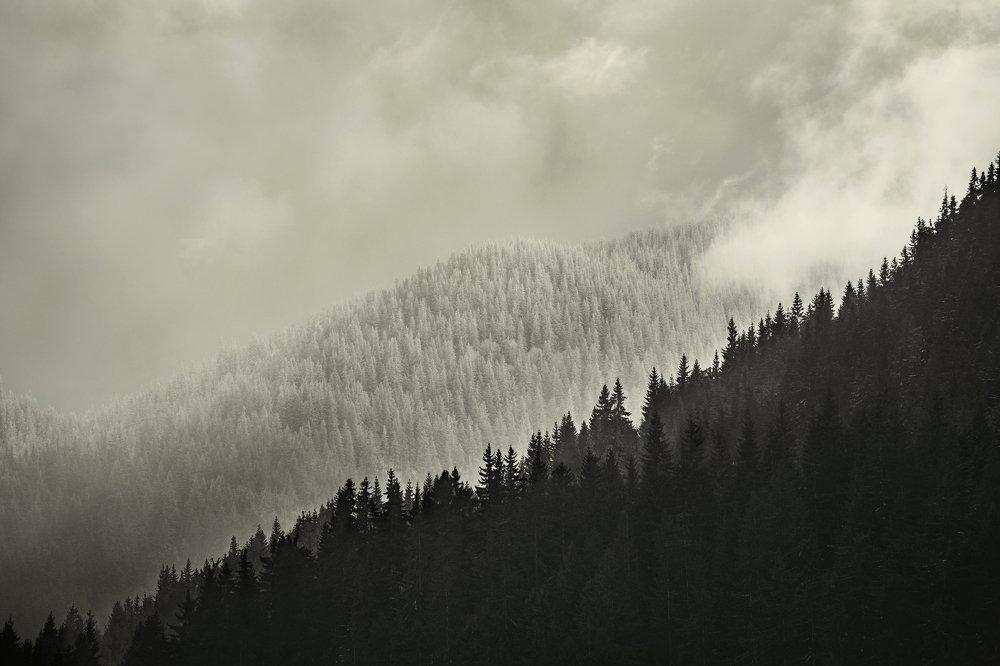 Photograph by Vladimir Karamazov