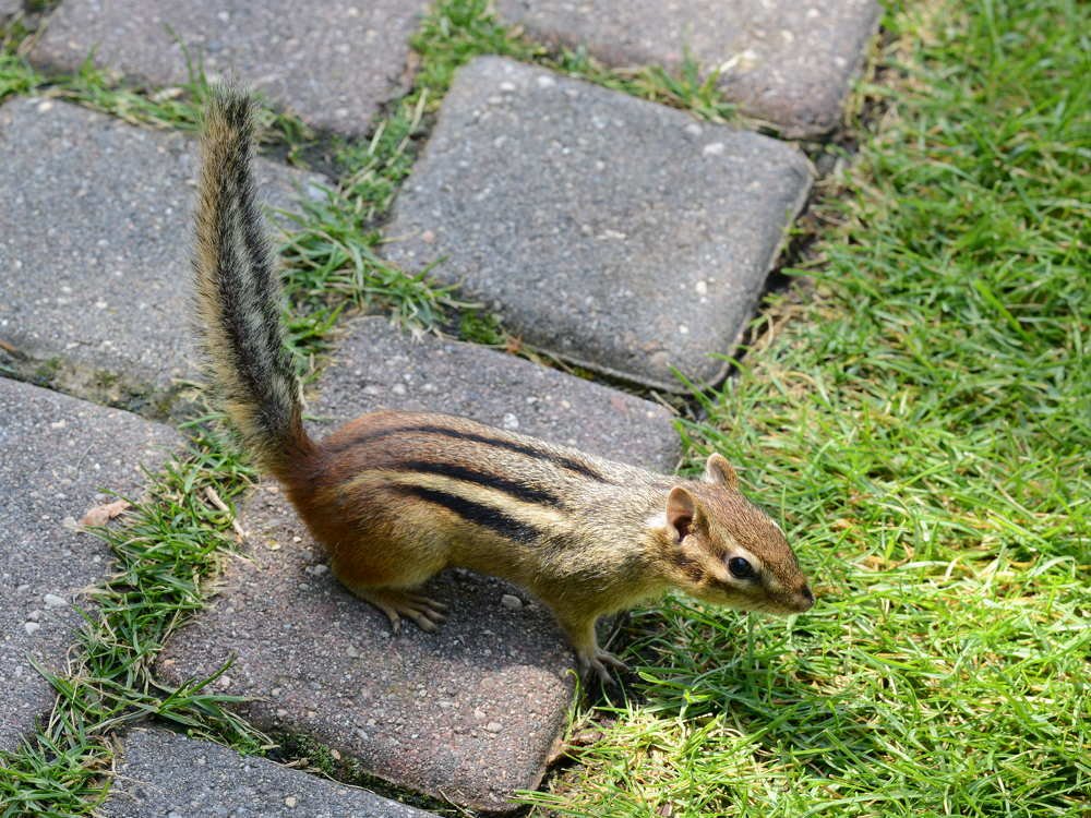 Photograph by Игорь