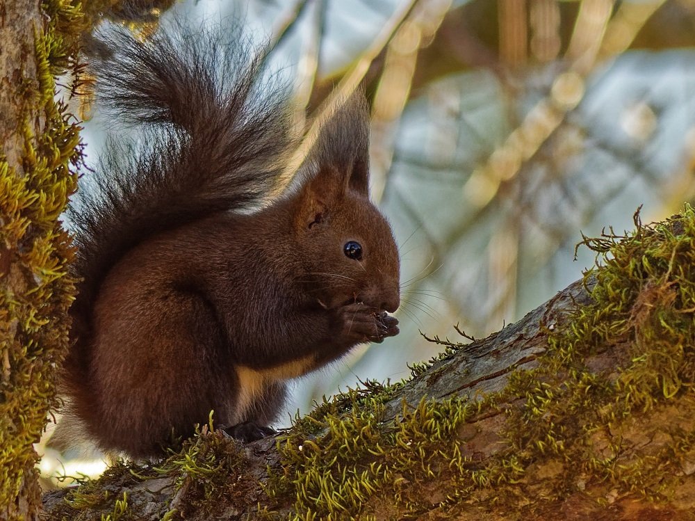 Photograph by zause01