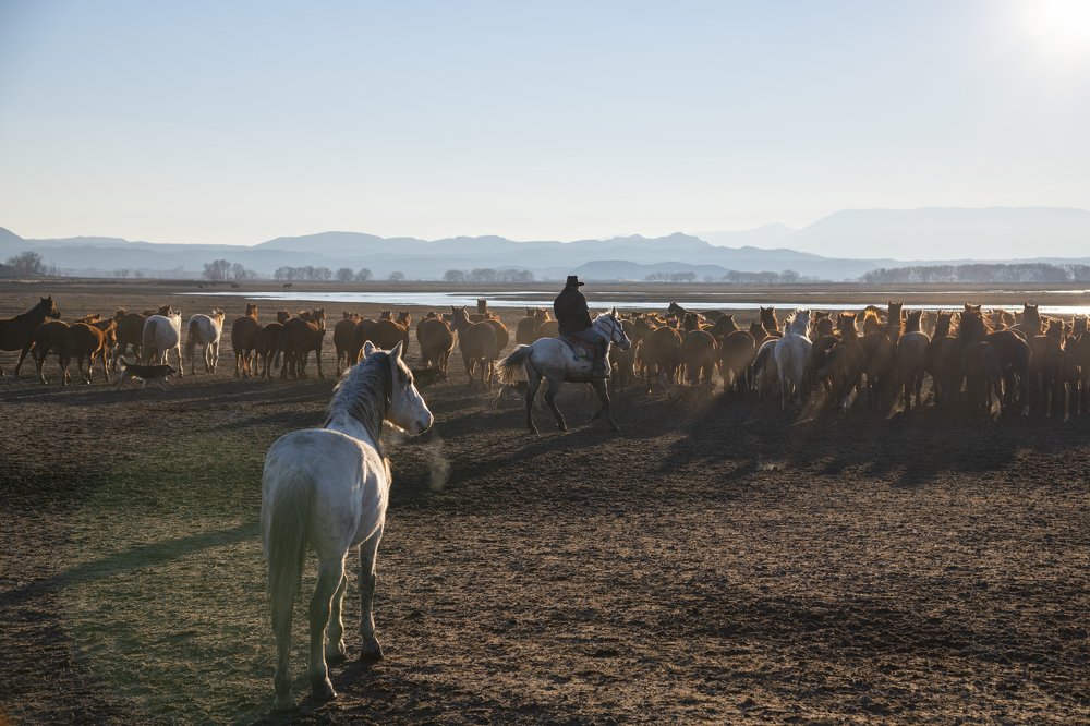 Photograph by Ömür Yaşar