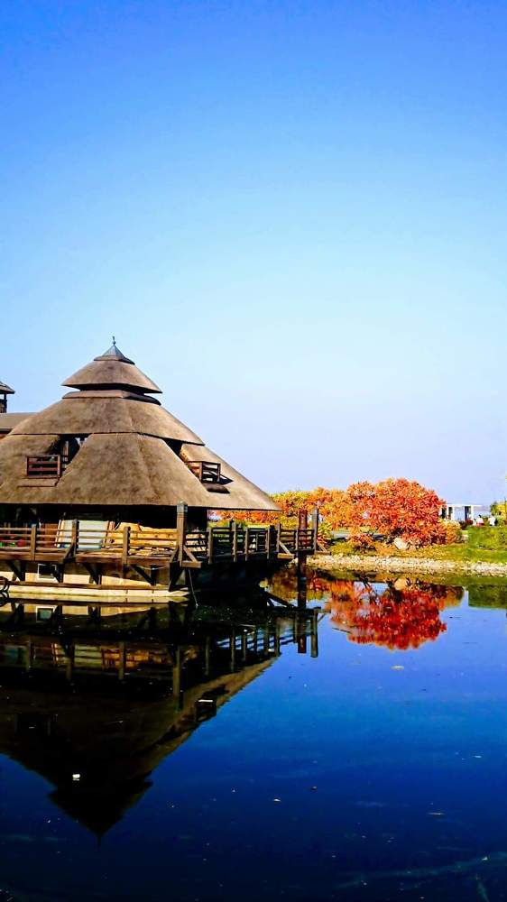 Фотография автора Max Evstafyev