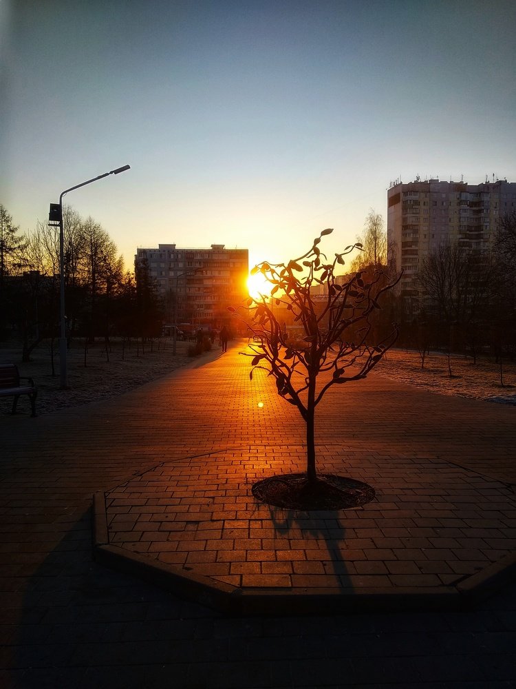 Photograph by Алеся Писнова