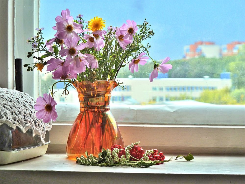 Фотография автора Клавдия Васильева