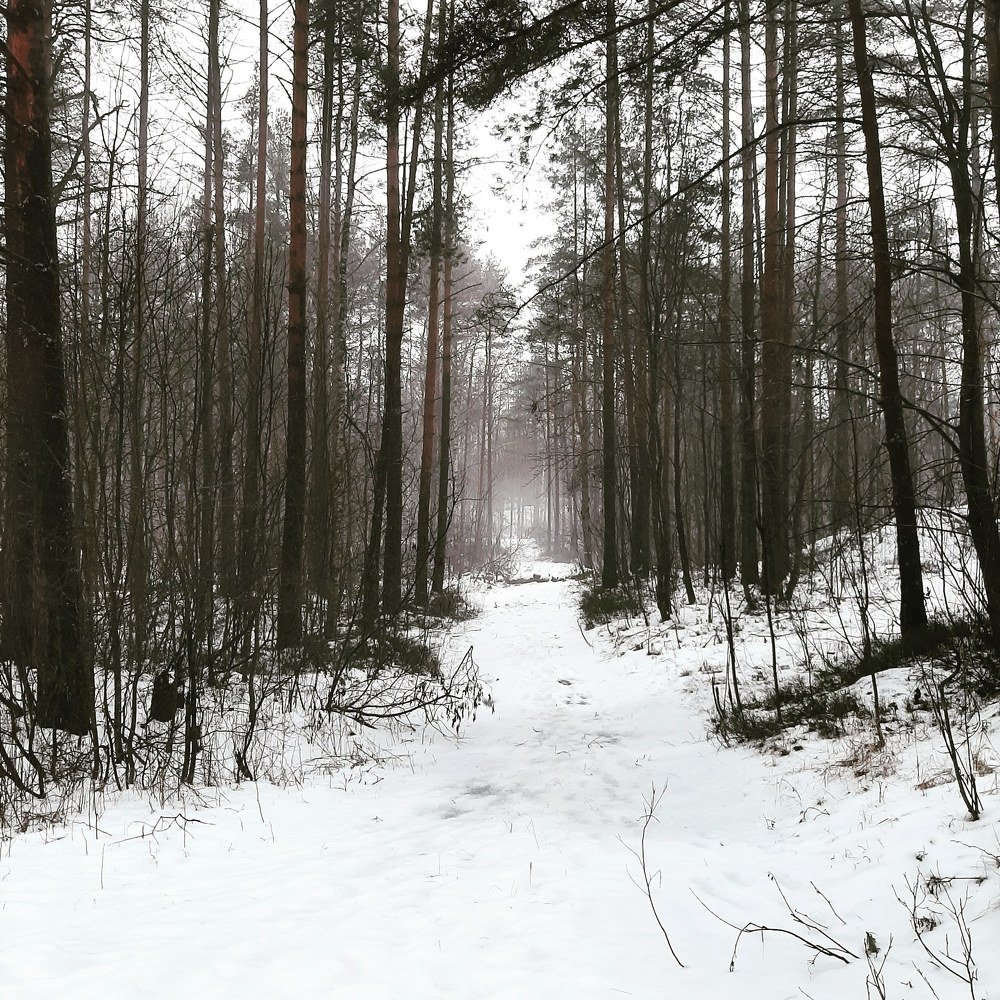 Photograph by Екатерина Попова