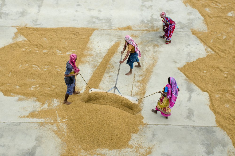 Photograph by Arindam Das