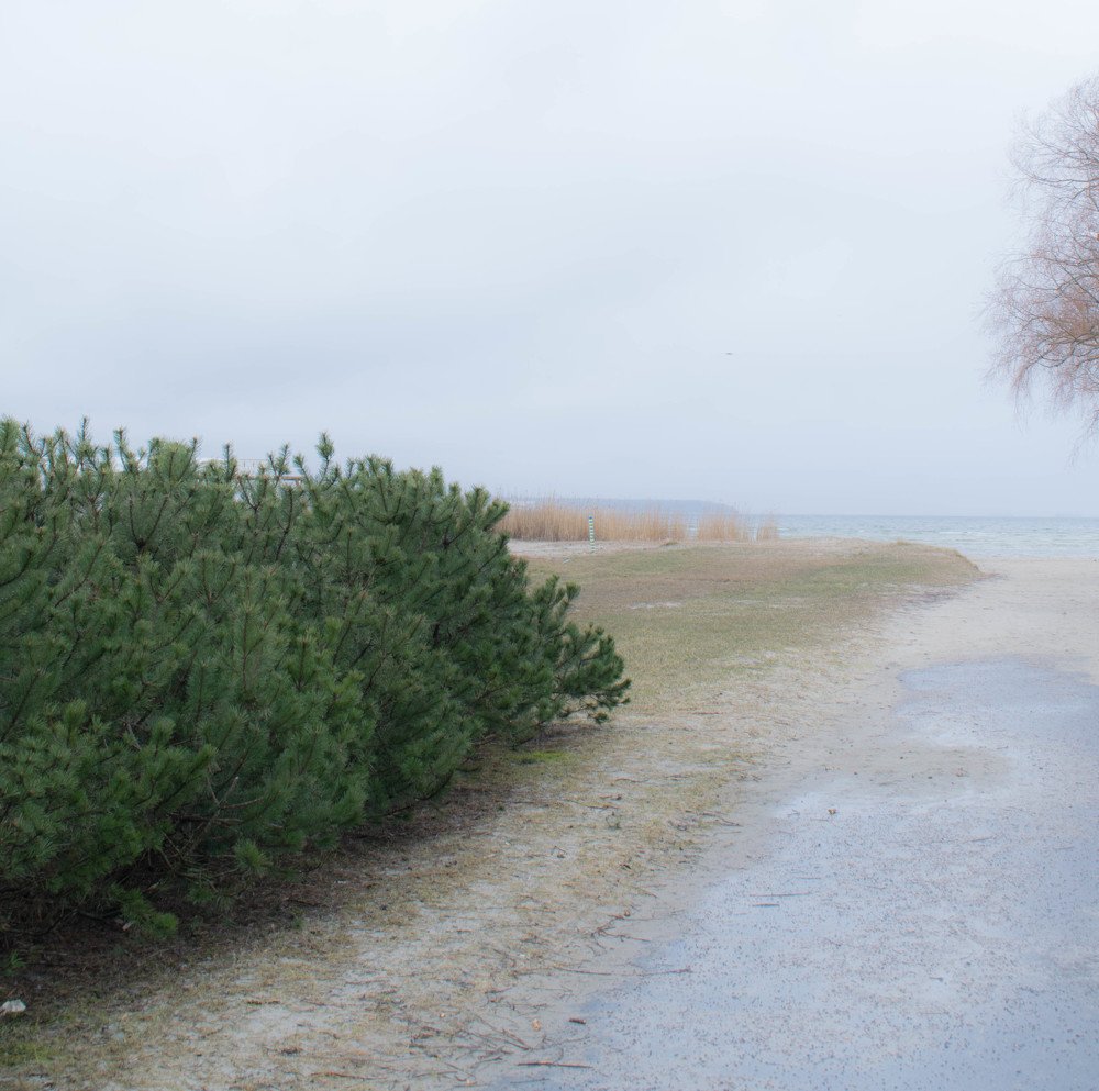 Photograph by Ruslana Tats