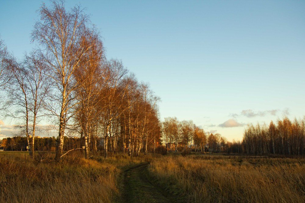 Поздняя осень!