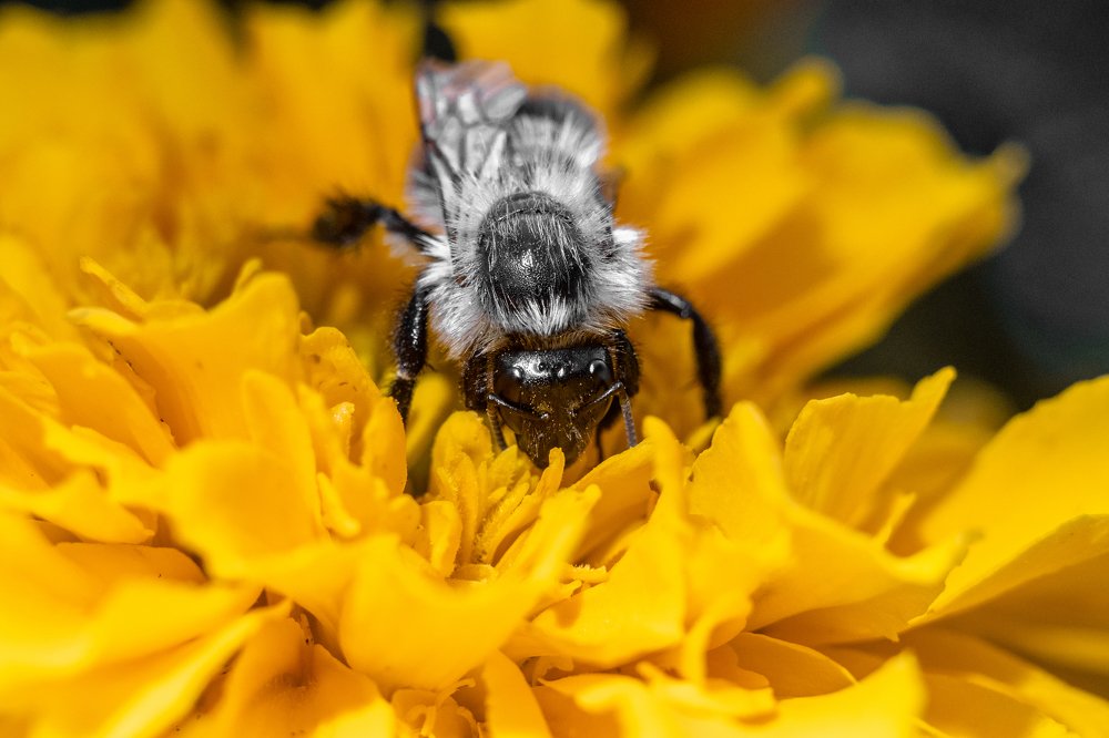 Photograph by Владимир