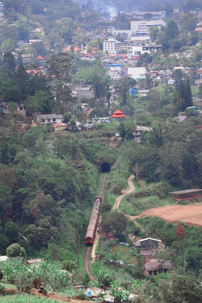 Photograph by Kalana Abeyrathna