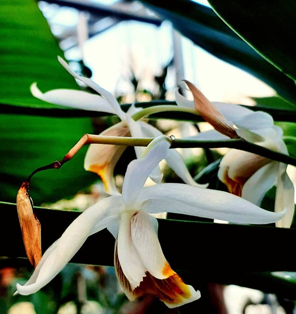 Photograph by Ирина Копанева