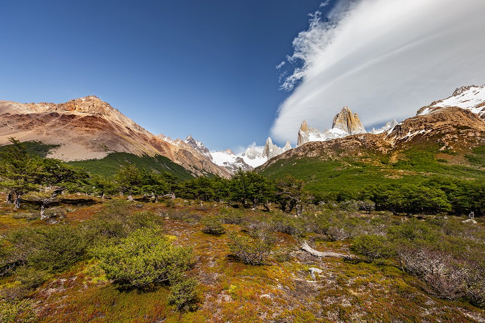 View on Fitz Roy