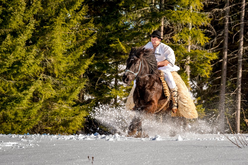 Photograph by Vasile Sarb