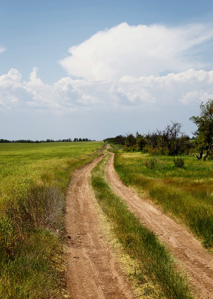 Photograph by Максим Белашов