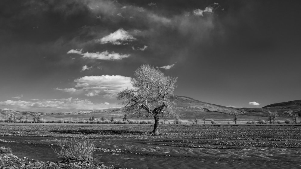 Photograph by Алексей Парфенов