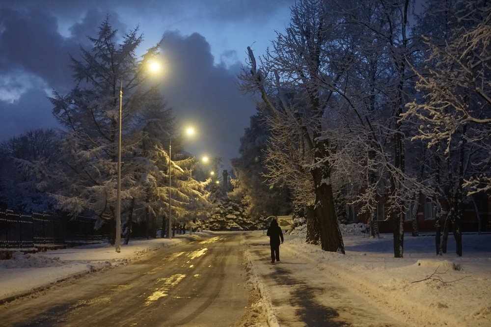 Photograph by Елена Никонова